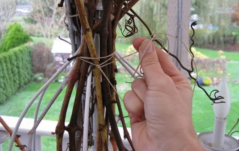 The vine should be strengthened by tying it into bundles.