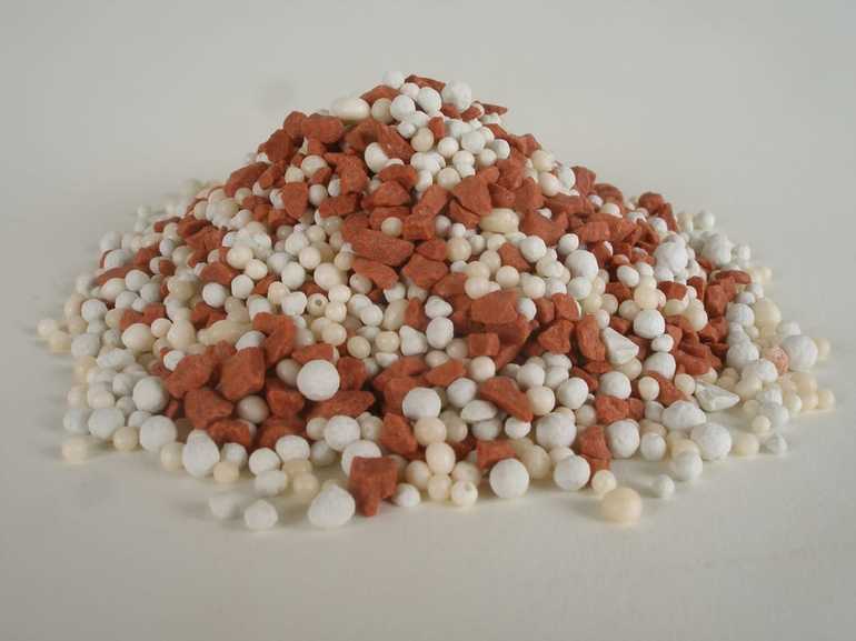 Тор за касис