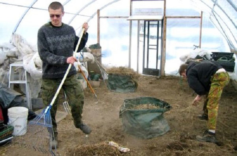 Vệ sinh nhà kính và làm đất