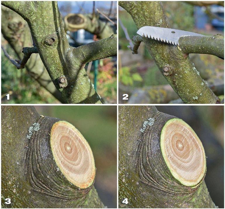 Рязане на пръстен