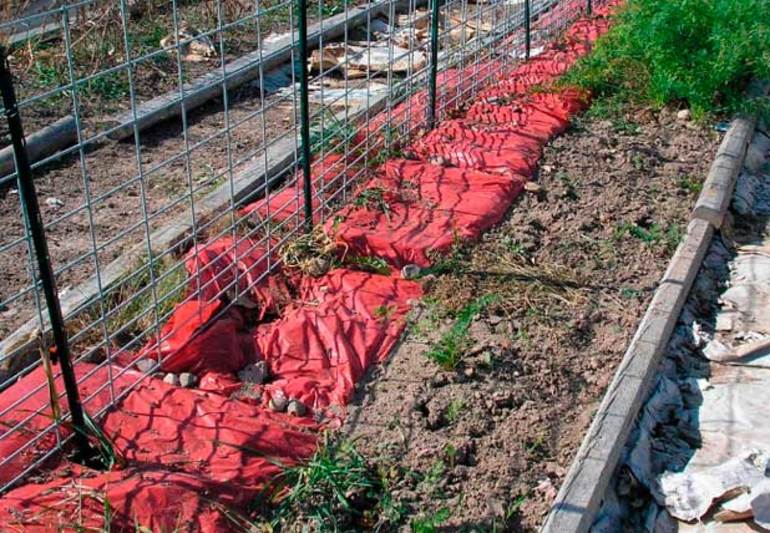 מקלט ענבים לחורף