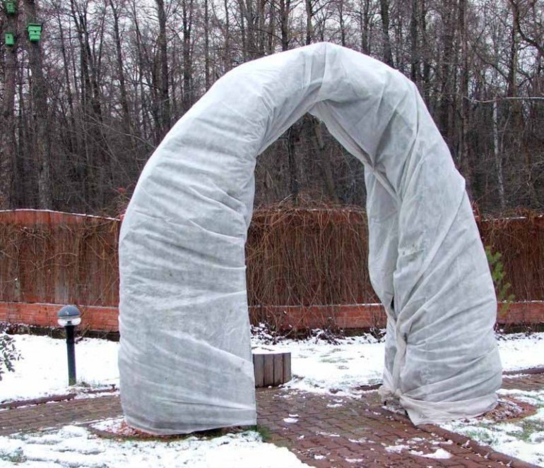 Opvang voor klimrozen