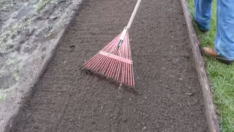 Как правилно да засаждате моркови през зимата