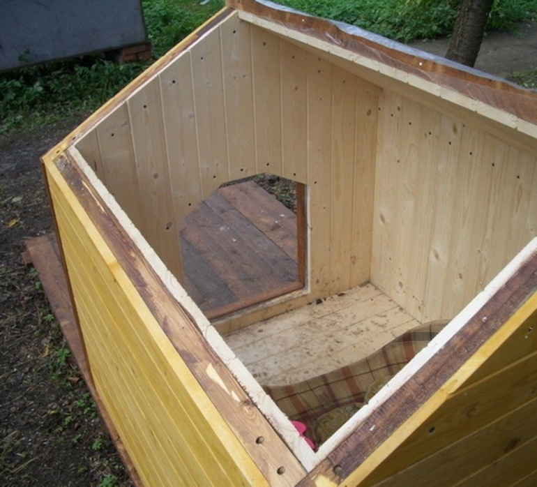 כיצד לבודד ביתן לכלבים