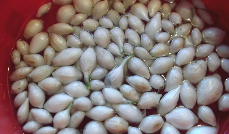 Накисване на чесън