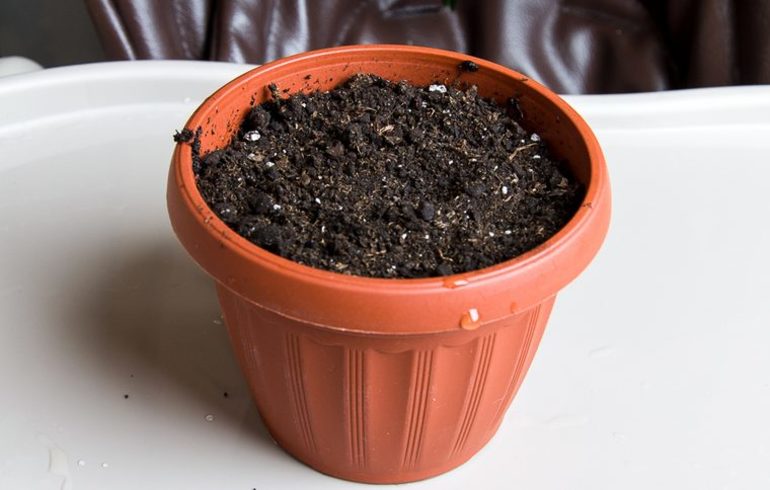 Избор на подходяща почва