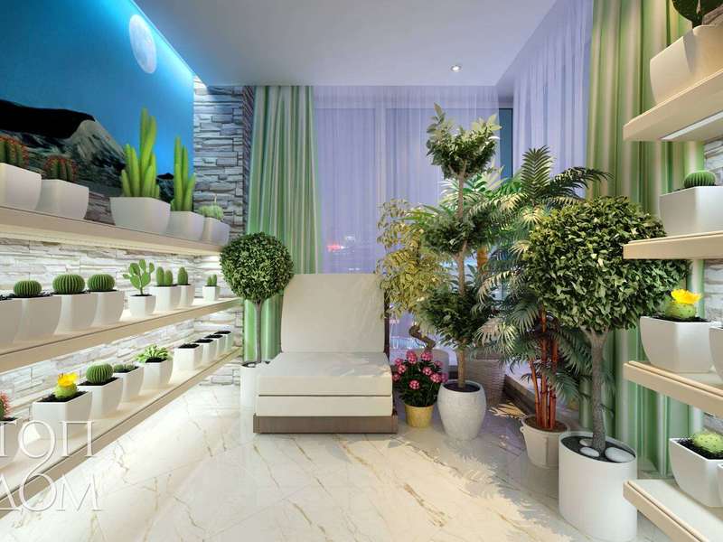 Зимни растения в апартамента