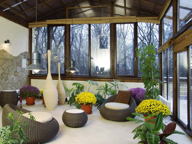 Домашни цветя