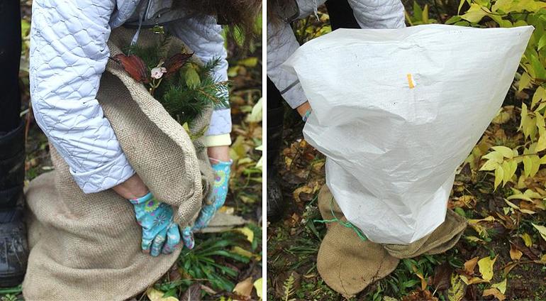 Afdekmateriaal voor druiven voor de winter