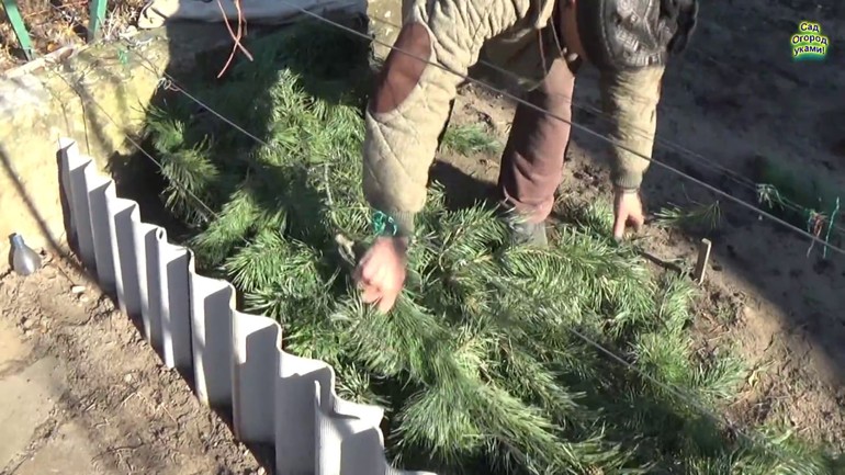 Изолация за грозде