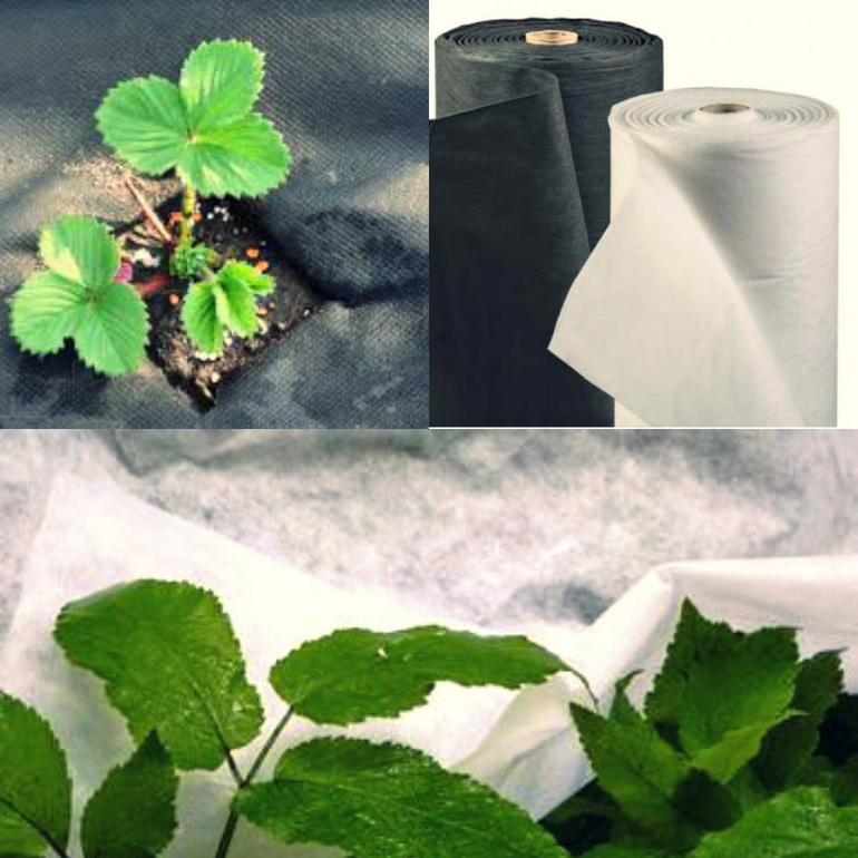  covering material for beds and greenhouses