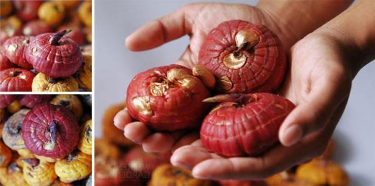 Overwinteren van gladiolen