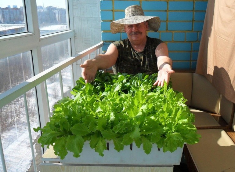 Lloc per a la col·locació de llits