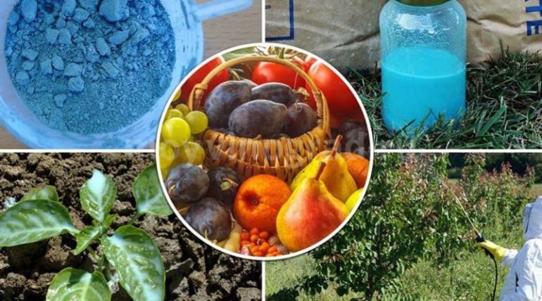 Приложение за синя витриол