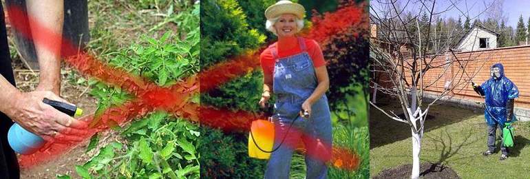 обработка на дървета с меден сулфат в есенни пропорции