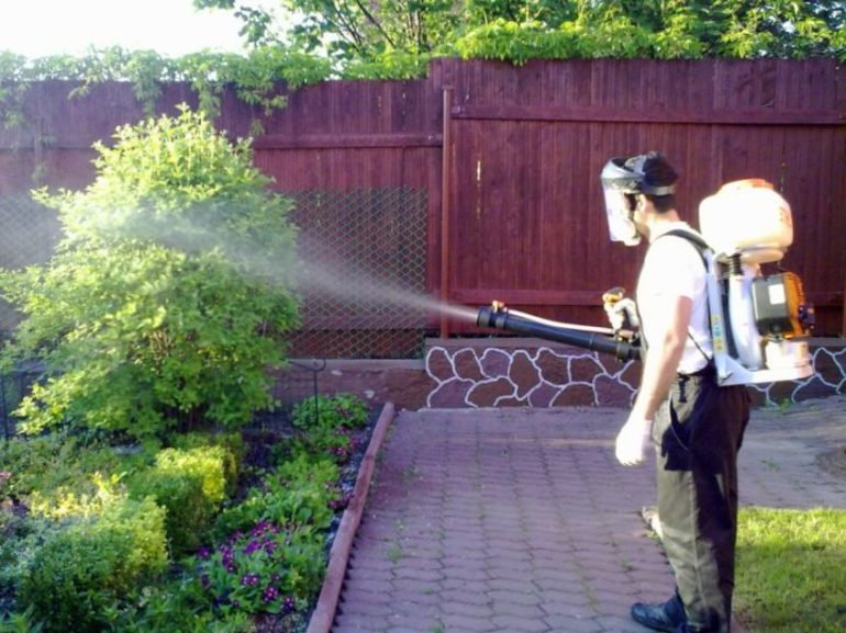 витриол в градинарството през есента