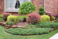 ไม้พุ่มประดับสำหรับรัสเซียกลาง