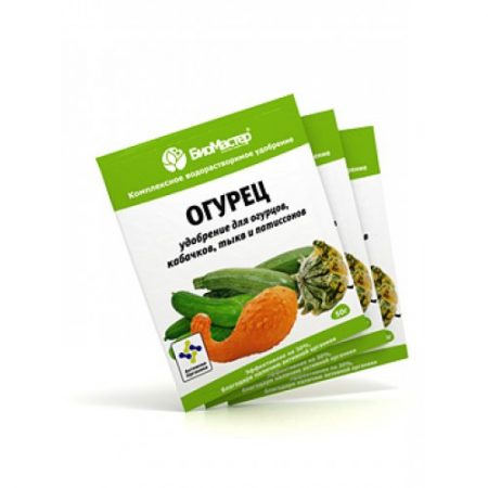 phân bón cho dưa chuột