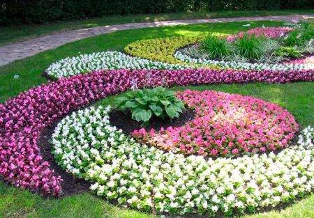 thiết kế sân vườn