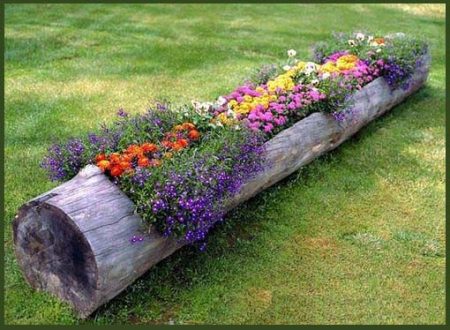 thảm hoa từ sàn tàu