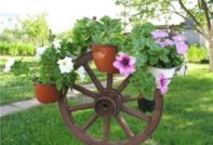 Disseny de parcel·la de casa rural