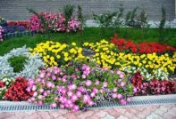 ทำเตียงดอกไม้ที่กระท่อมด้วยมือของคุณเอง