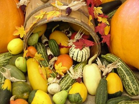 Lunar calendar for June 2017 gardener and gardener