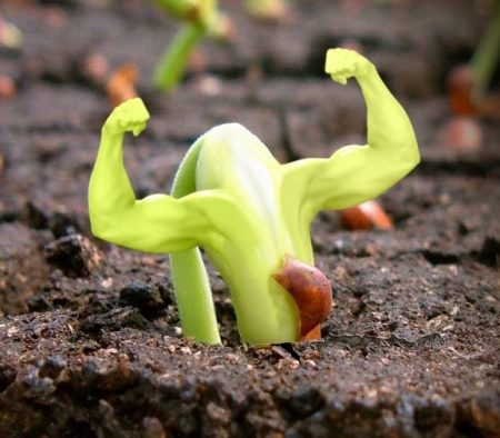 gieo lịch năm 2016