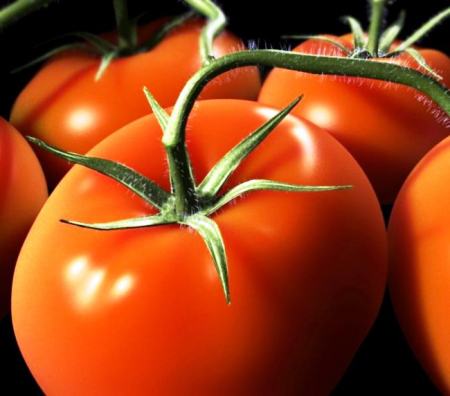 Дълъг вратар