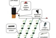 do-it-yourself drip irrigation in the country