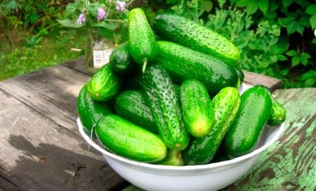 универсална краставица