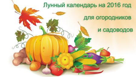 Zaaikalender voor 2016 voor de regio Bryansk