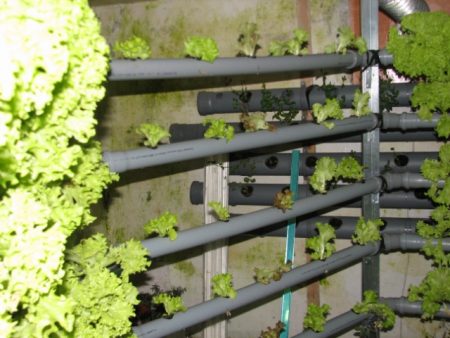what is hydroponics