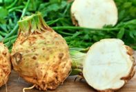 when to plant celery for seedlings