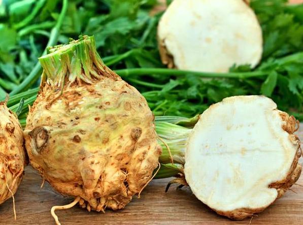 when to plant celery for seedlings