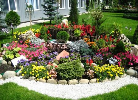 Do-it-yourself Alpine slide in the country: what plants are needed