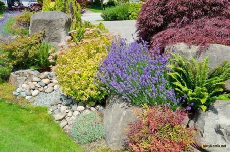 DIY Alpine slide at the cottage