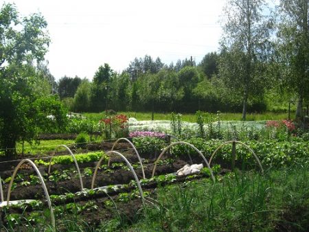 ימים נוחים לנחיתה ביוני 2016
