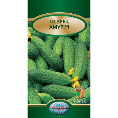 Сорт Купидон F1