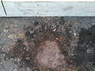 Налейте вода