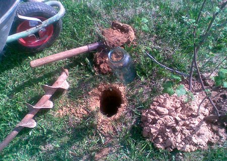 how to get rid of moles at the cottage folk methods