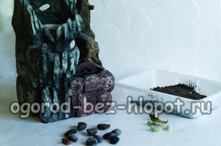 vật liệu để tạo ra một thành phần của các loài xương rồng