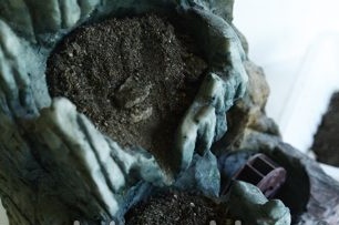 3. Chúng tôi điền vào hỗn hợp đất