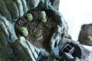 4. Chúng ta tạo ra những hố sâu trong lòng đất và chúng ta trồng cây