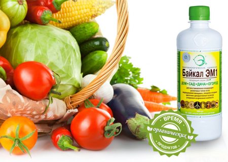 Baikal em 1: gebruiksaanwijzing