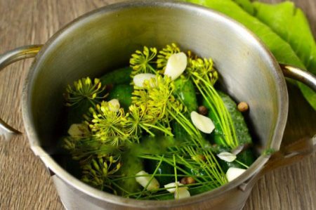  Солени краставици, бърза рецепта в тиган