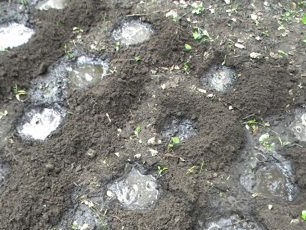 Đổ nước vào lỗ