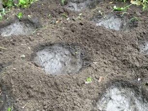 Fill the wells with water