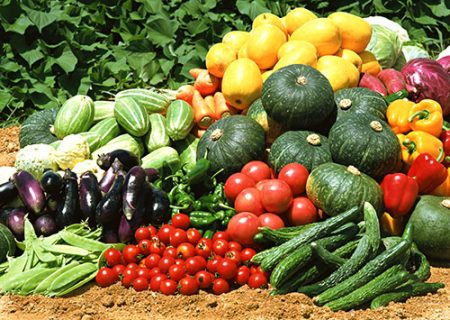 What to plant after carrots next year