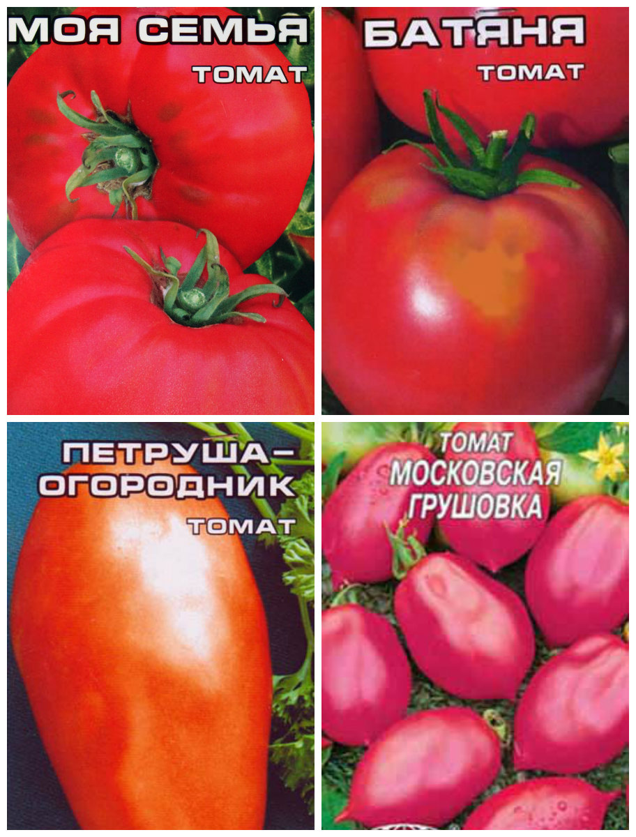 De beste tomatenzaden voor de regio Rostov